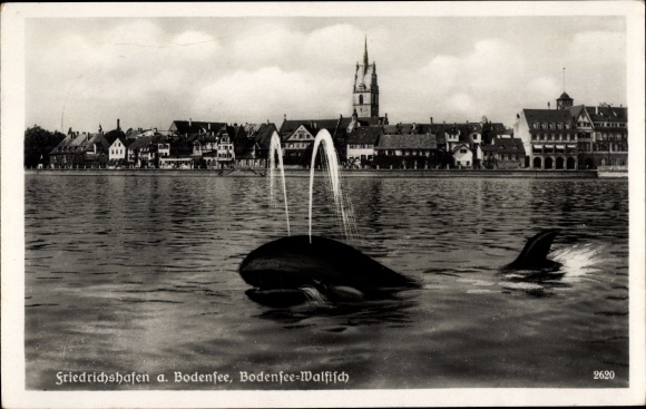 PC Friedrichshafen on Lake Constance, whale, water view of the place