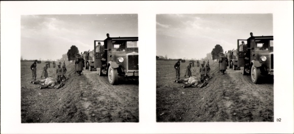 Stereo spatial image photo &quot;The soldiers of the leader in the field&quot;, No. 82, fallen horse, advance road