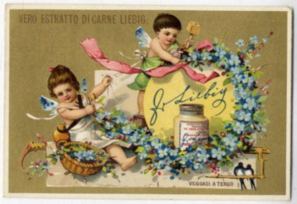 Liebig single picture picture 3 series A 91 S 222 flower arrangements and ice skating 1887
