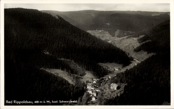 Ak Bad Rippoldsau Schapbach im Schwarzwald, Landschaftsaufnahme, Wald, Berge, Ort im Schwarzwald