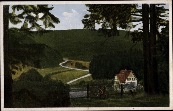 Postcard Warstein im Sauerland, Langenbachtal, Forsthaus im Tal, forest