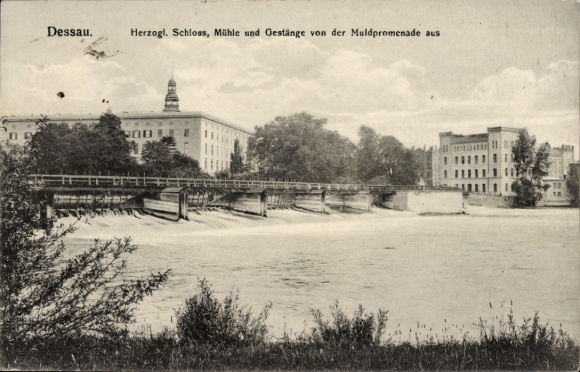 Postcard Dessau in Saxony-Anhalt, Ducal Palace, Mill, Rods, Muldpromenade