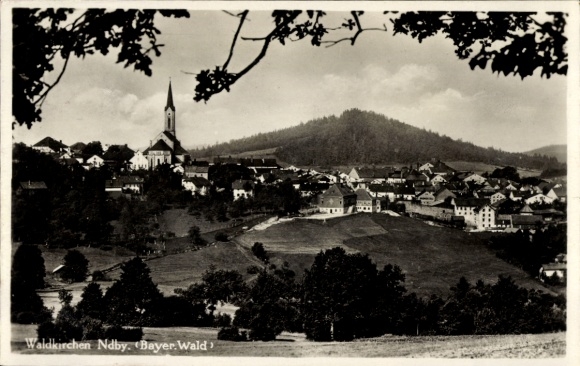Ak Waldkirchen am Goldenen Steig Niederbayern, Panorama