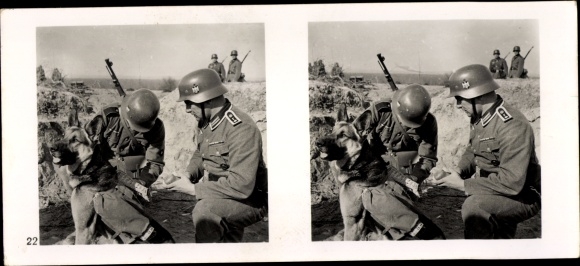 Stereo Raumbild Foto "Der Kampf im Westen", Nr. 22, Meldehund wird Meldung umgehängt