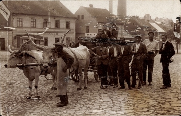zdjęcie Ak Czechy?, wóz bydlęcy w mieście 1914, grupa mężczyzn