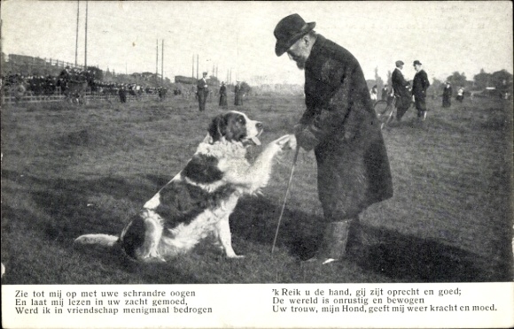 Postcard dog gives paw, St. Bernard