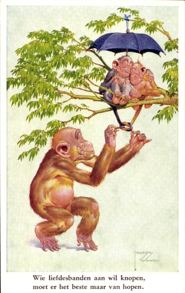 Artist Postcard Wood, Lawson, Monkey knotted tails