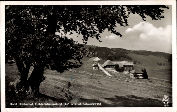 PC Oberried im Breisgau, Hotel Haldenhof