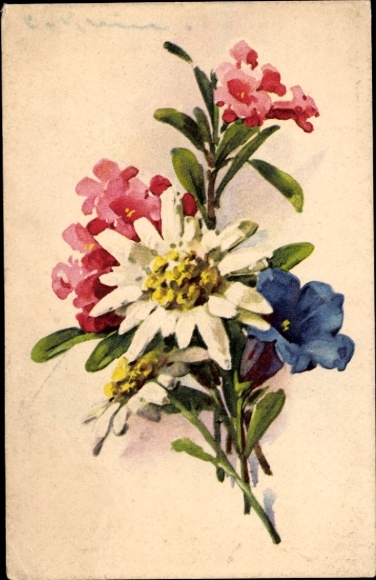 Artist Postcard Klein, Catharina, bouquet, daisies