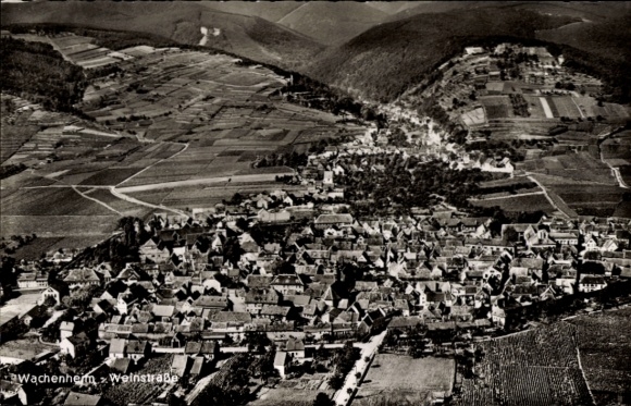Aerial view of Wachenheim ad Haardt on the Palatinate Wine Route, aerial view of Wachenheim, vineyards, houses