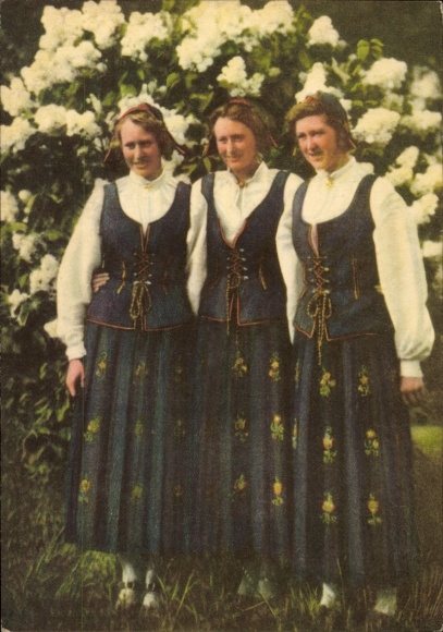 Postcard Norway, Hedmarkbunad, women in Norwegian costume