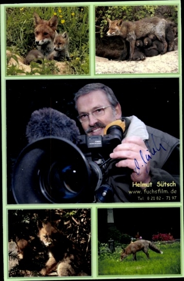 Postcard animal filmmaker Helmut Sütsch, portrait, autograph, foxes