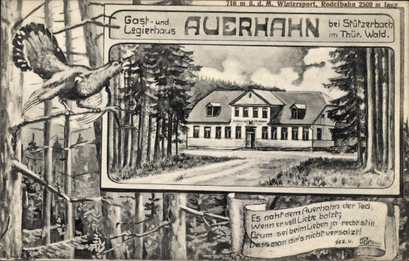 Postcard Stützerbach Ilmenau Thuringian Forest, capercaillie, inn, Thuringian Forest, toboggan run, historic...