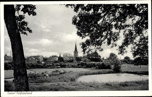Postcard Esens Ostfriesland, meadow, trees, church, partial view