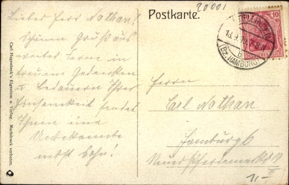 Postcard Hamburg Eimsbüttel Stellingen, Carl Hagenbecks Tierpark, Tigerschlucht, Tiger on rocks