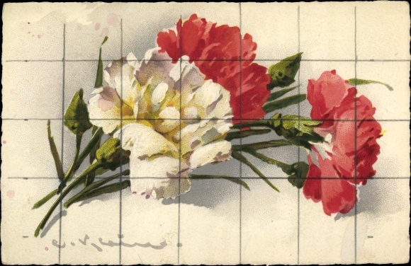 Artist PC Klein, Catharina, flowers, white and red carnations