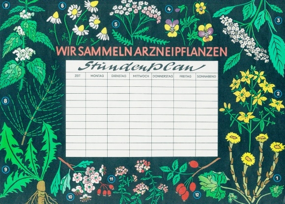 Schedule We collect medicinal plants, pharmacy, medicines