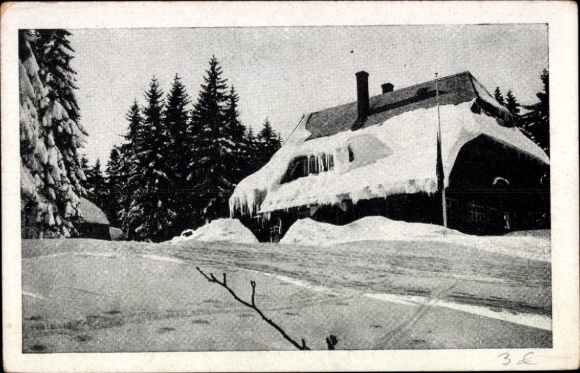 Ak Feldberg im Schwarzwald, Schneebedecktes Haus, Tannenbäume, Straße, Winterlandschaft