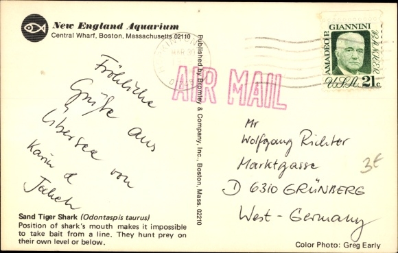 Postcard Boston Massachusetts USA, New England Aquarium, Central Wharf, Sand Tiger Shark, Hai