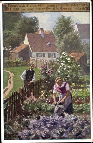 Lied Ak Hey, Paul, Volksliederkarte Nr. 41, Rosestock, Holderblüh, Frau gießt Kohlköpfe