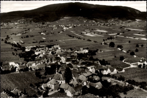 Ak Flemlingen an der Weinstraße Pfalz, Landschaft mit Weinbergen, Dorfansicht, Berg im Hintergrun