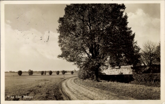 Postcard Echzell in Hesse, path to Echzell, tree