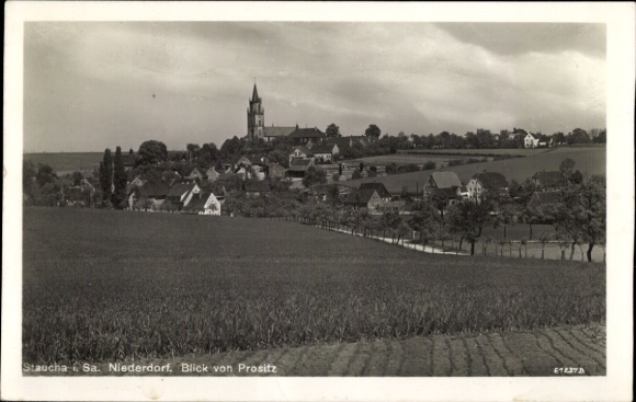 Ak Staucha Stauchitz Sachsen, Niederdorf, Blick von Prositz