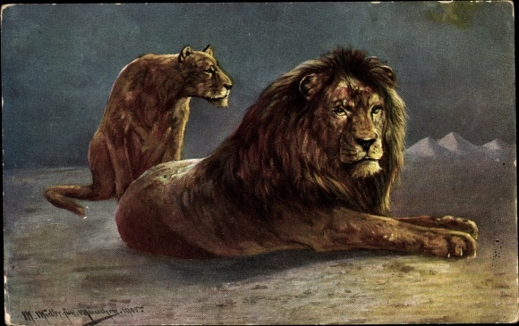 Artist PC Müller, M. jun., lioness and lion