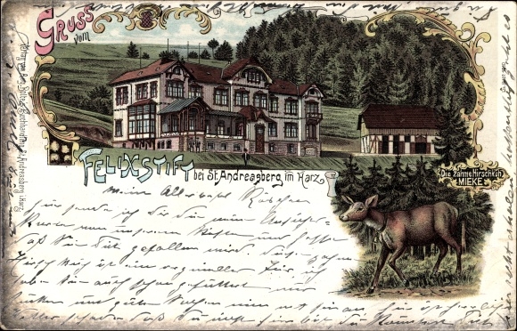 Chromo-Litho St. Andreasberg Braunlage in the Harz Mountains, Felixstift, tame hind Mieke
