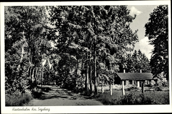 PC Hartenholm Schleswig Holstein, forest lot, house