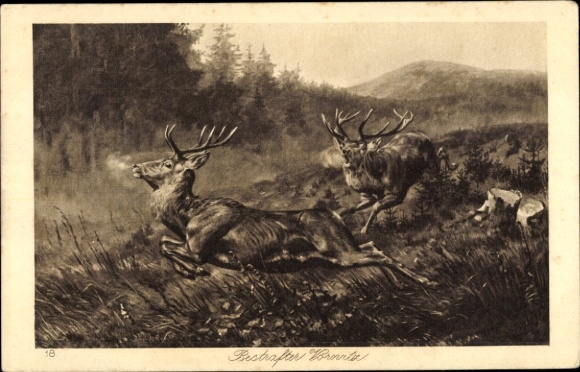 Künstler Ak Hirsche, Revierkampf