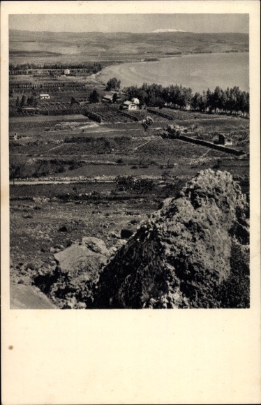 Postcard Migdal Israel, Orange Groves