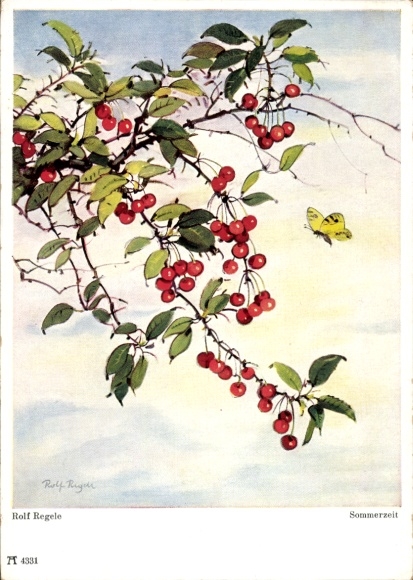 Artist Postcard Regele, R., Summertime, Fruit Tree, Fruits, Ackermann 4331