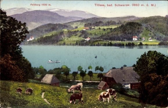 Ak Titisee Neustadt im Breisgau Hochschwarzwald, Hotel Titisee, Inh. R. Wolf, Feldberg