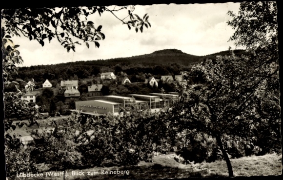 Postcard Lübbecke in Westphalia, view of Reineberg, residential areas, nature