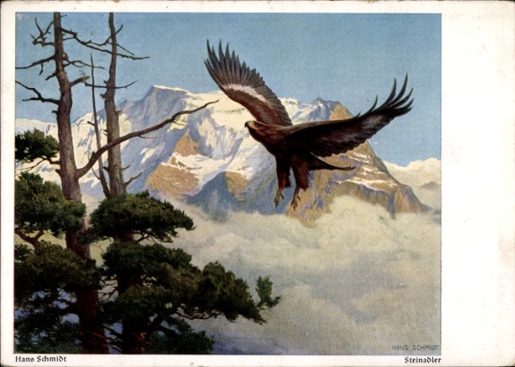 Artist Postcard Schmidt, Hans, Golden eagle flying in the mountains