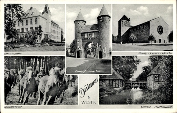 KP Dülmen w Westfalii, Lüdinghauser Tor, szkoła średnia, kościół Świętego Krzyża, Teichmühle, dzikie konie
