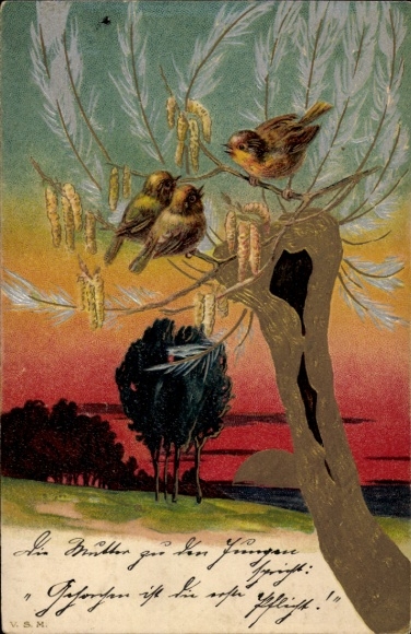 Präge Ak Vögel auf einem Weidenbaum, Spatzen