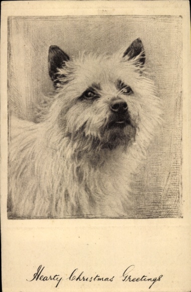 Ak-hond, geschilderd dierenportret