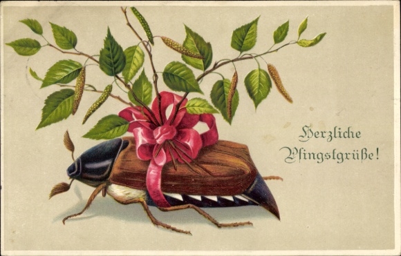 Postcard congratulations Pentecost, cockchafer, bow, leaves
