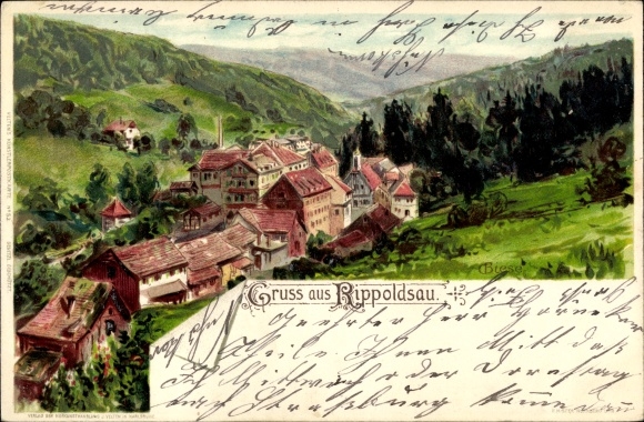 Artysta lito Biese, C., Bad Rippoldsau Schapbach w Schwarzwaldzie, częściowy widok na miasto