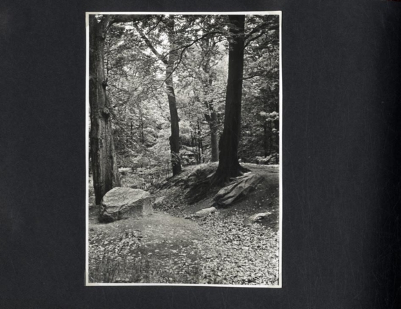 Photo album Spandau, Alt-Berlin, Pfaueninsel, late 1950s, city history, post-war