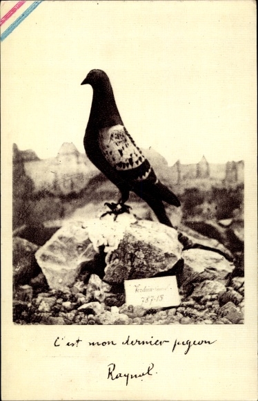 PC C&#39;est mon dernier pigeon, Verdun, 787 15, 1916, carrier pigeon, World War I, Commandant Raynal
