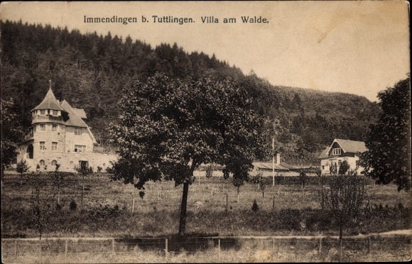 Ak Immendingen aan de Donau Baden, Villa am Walde