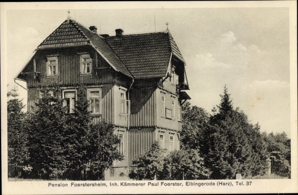Postcard Elbingerode Oberharz am Brocken, Pension Förstersheim