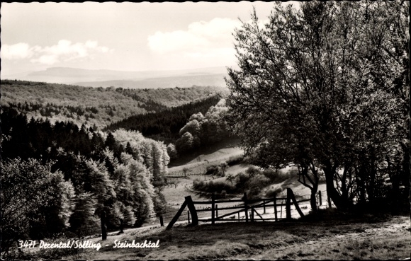KP Derental im Solling, Steinbachtal, panorama