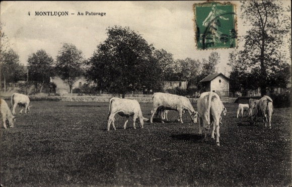 Postcard Montluçon Allier, Au Pasture