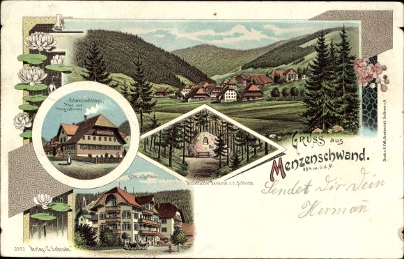 PC Menzenschwand Sankt Blasien in the Black Forest, partial view, Black Forest house, hotel