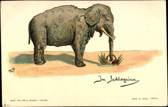 Artist Chromo-Litho Im Schlageisen, Trunk of Elephant in a Trap, Philipp and Kramer