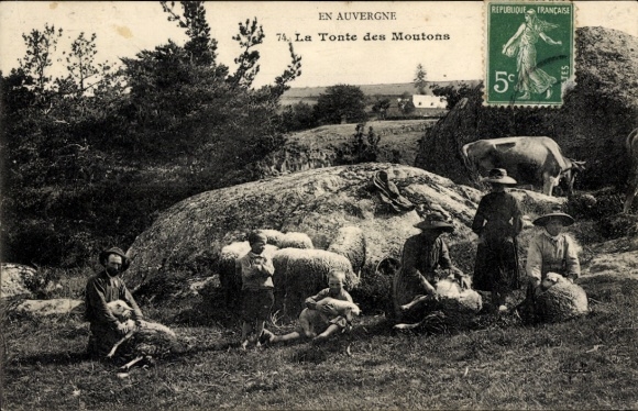 CPA Auvergne, Tonte des Moutons